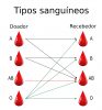 Sistema ABO De Grupos Sanguíneos - Biologia - InfoEscola