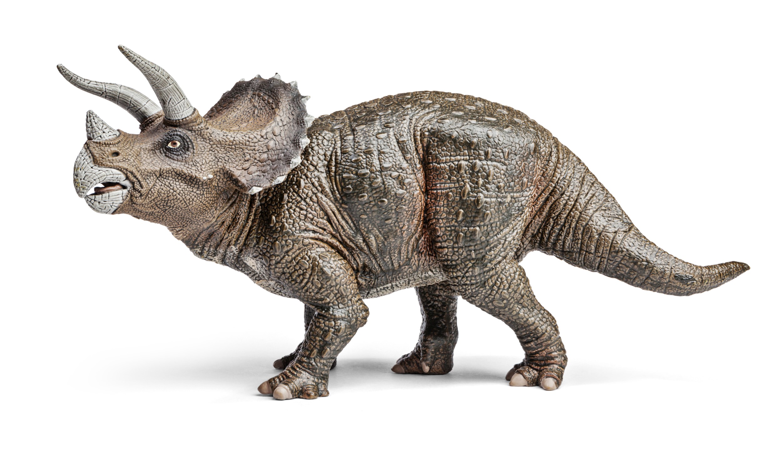 Como desenhar um Triceratops - Guias de desenho fáceis passo a