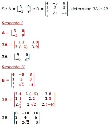 multiplicacao matrizes numero real1