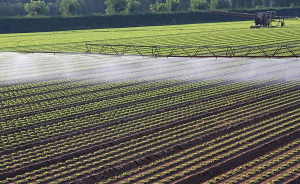 Agricultura Extensiva E Intensiva - Economia - InfoEscola