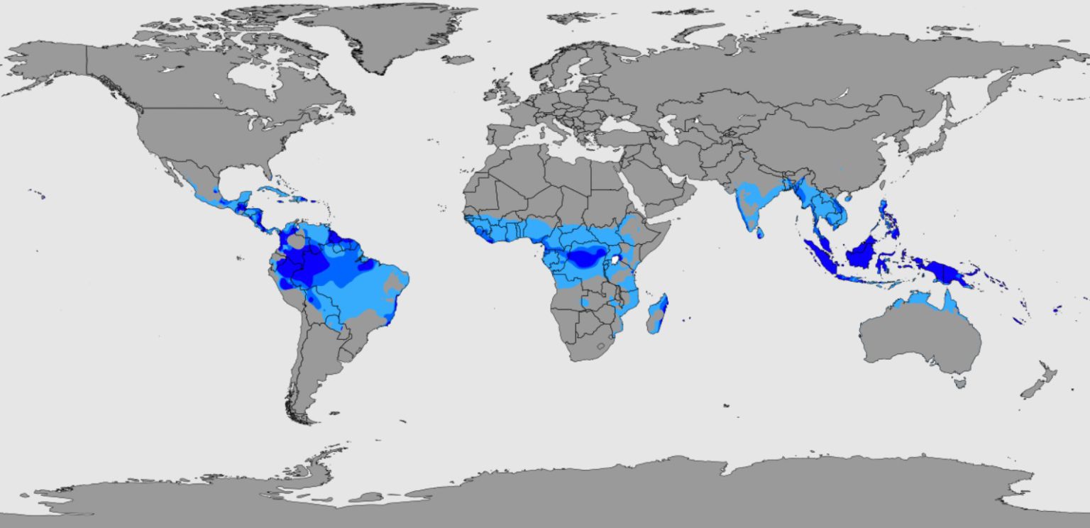 Clima Tropical Geografia Infoescola 9162