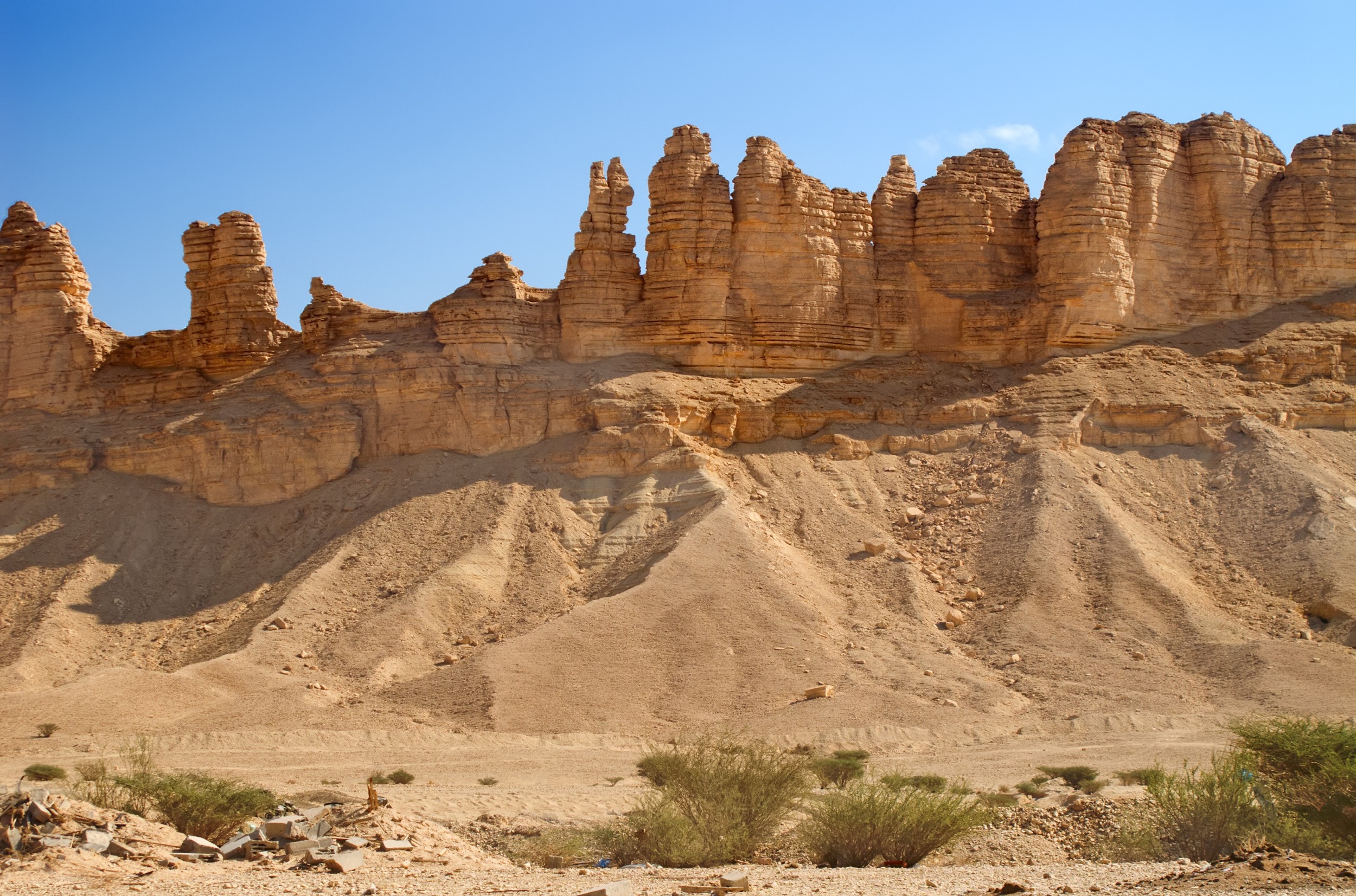 Deserto da ArÃ¡bia - caracterÃ­sticas, fauna e flora, fotos