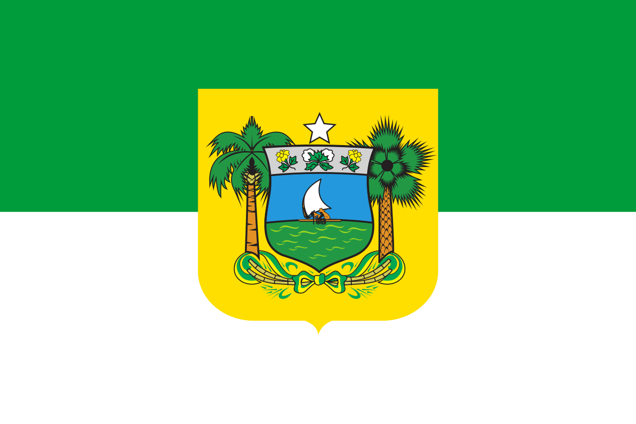 Bandeira do país ficcional República Popular do Nordeste Sul-Americano :  r/BrasildoB